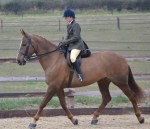 Not even a grey leg in sight!