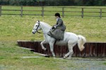 Tiny fence astride, mahoosive fence first time side saddle