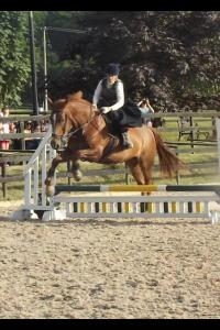 First sideways show jumping round