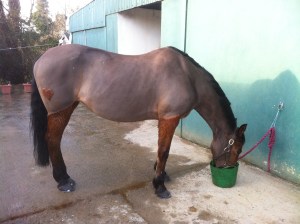 Full body clip with a heart design