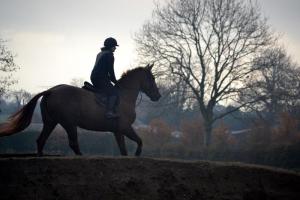"Grand Dry Day" Photo by Jandy Lo