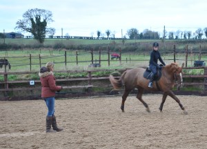 The horse and I in action 