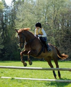 "oh f**k, oh f**k, oh f**k, I’m wobbling, I’m gonna come off, I’m gonna die, wait a second, I’m still up here - woo hoo we made it!!"