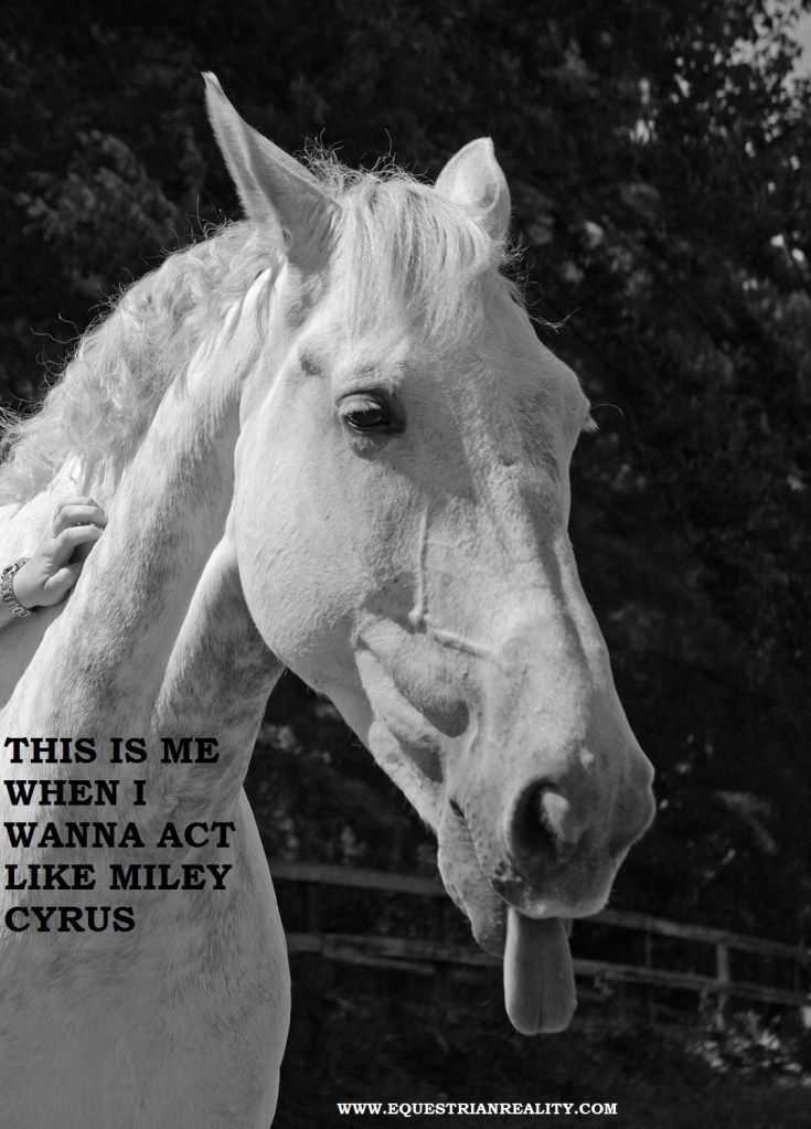 photo by Lorna Keogh