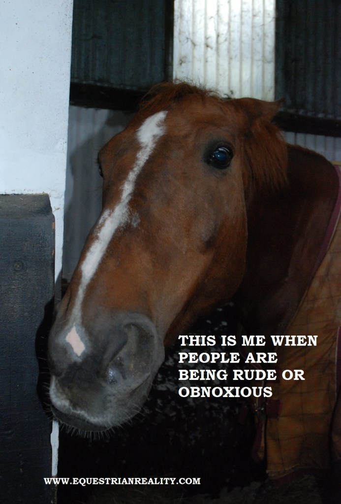 photo by Lorna Keogh