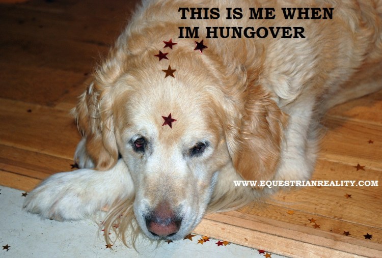 Photo by Lorna Keogh 