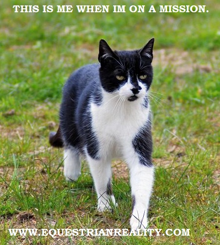 photo by Lorna Keogh