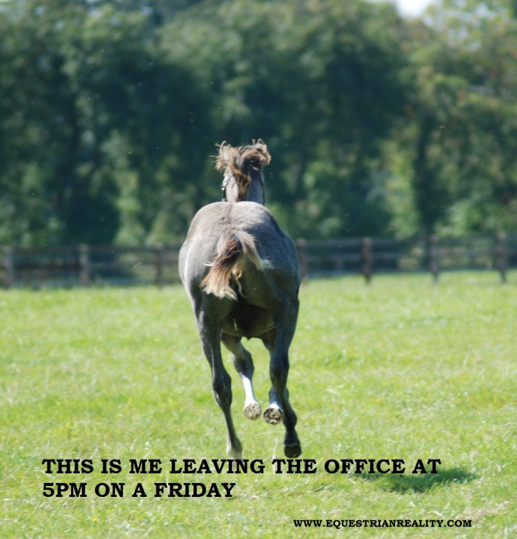 photo by Lorna Keogh