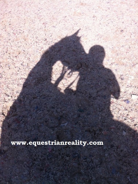 Photo copyright Lorna Keogh