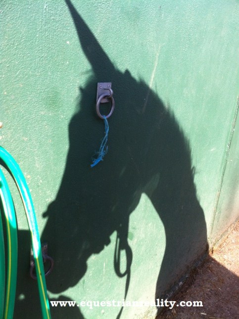 Photo copyright Lorna Keogh 