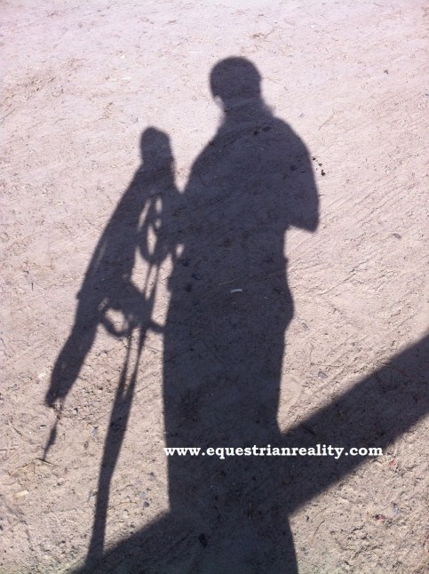 Photo copyright Lorna Keogh 