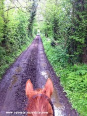 heading down the trails for our lesson