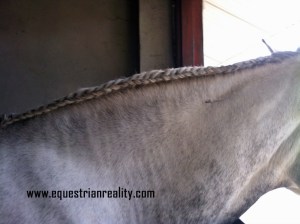 Quicbraid came in handy here!