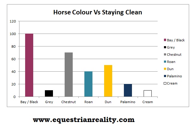 Choosing A Horse