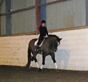 Grand Prix dressage horse St. Emilion in action. 