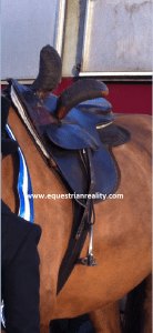 Felicity as she normally looks!