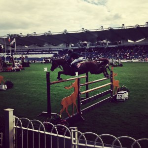 Ring side seats to the show jumping action