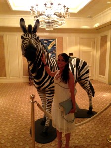 Meeting the Investec Zebra