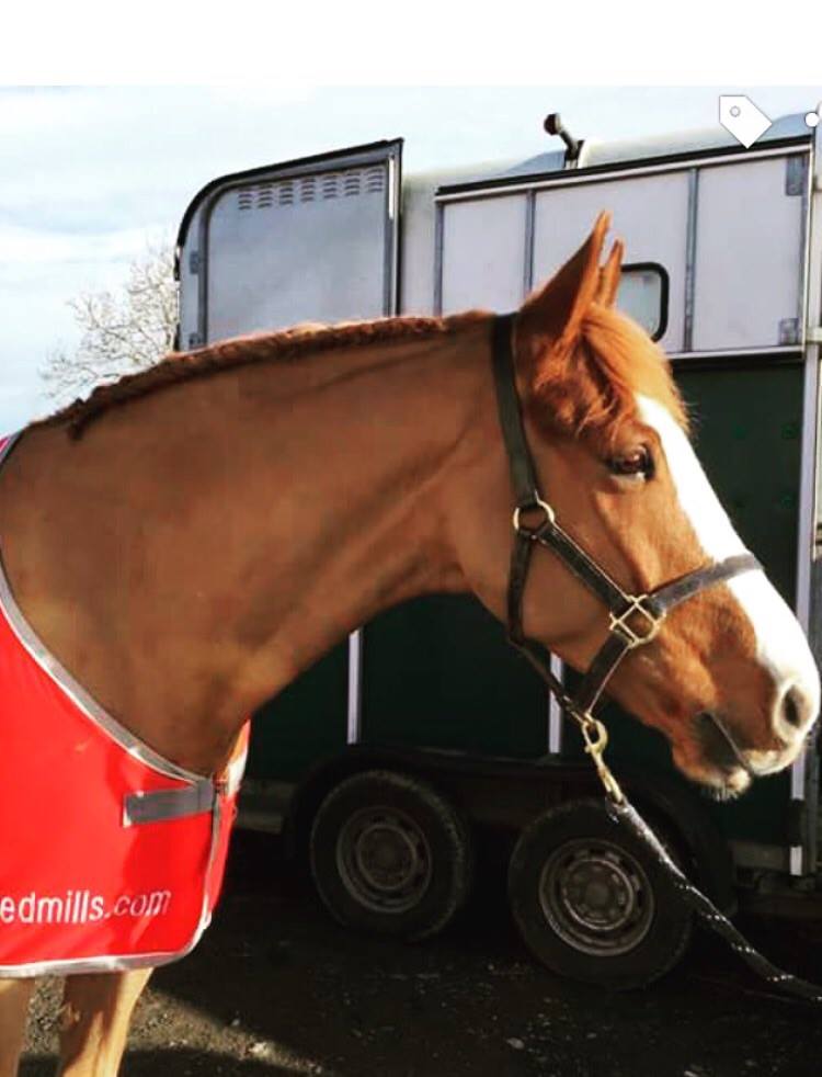 15000709_10154024861293085_2193297696421118381_o