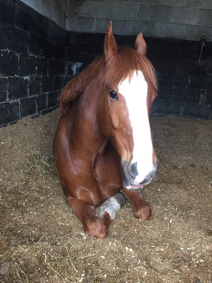 sammy as himself.jpg