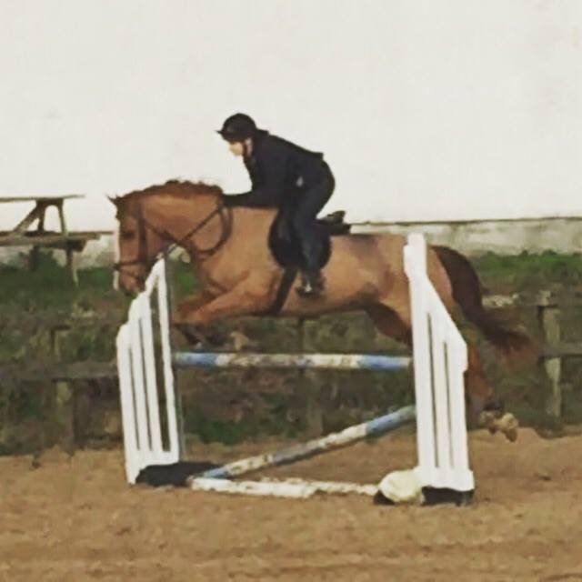 sammy-first-time-jumo