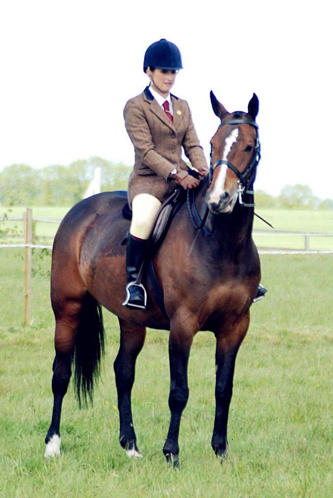Making A Show Of Yourself – Part 1 – Types of ridden showing classes ...
