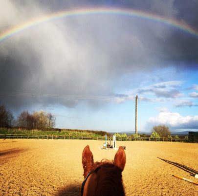 17308830_10154146991772693_8245799845355953775_n